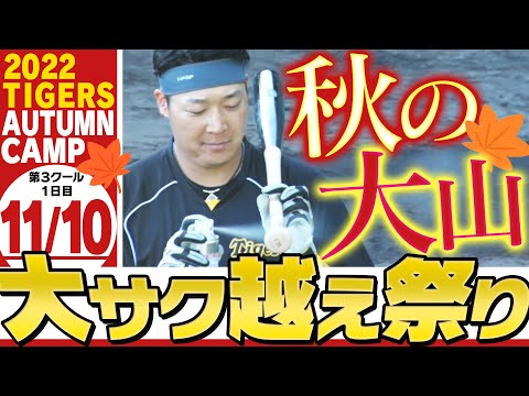 【11月10日秋季キャンプ】岡田野球が徐々に見えてきた!駐車場まで打球飛ばしたのは誰?伊藤将今日も半袖で投げ込み!阪神タイガース密着!応援番組「虎バン」ABCテレビ公式チャンネル