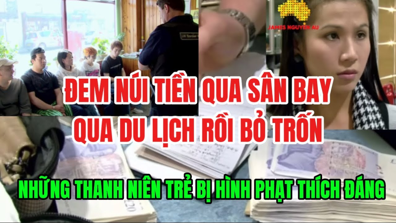 🔥ĐEM NÚI TIỀN QUA SÂN BAY, QUA DU LỊCH RỒI BỎ TRỐN LÀM BHP, NHỮNG THANH NIÊN TRẺ BỊ HÌNH PHẠT NẶNG