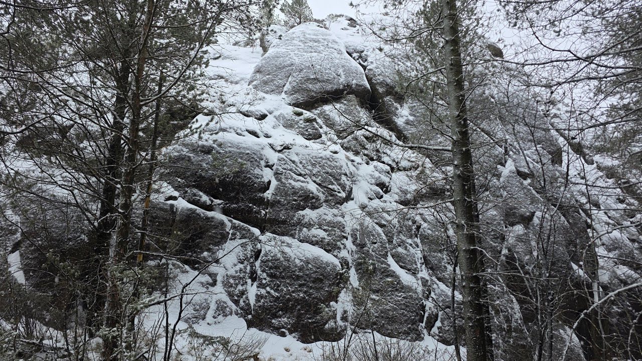 Norwegian Winter hike, snow, frozen lakes and roe deer