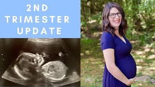 2nd Trimester Pregnancy Update // Glucose Test, Symptoms // First Pregnancy