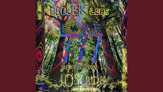 JOY RIDE (Right Hand Path Full Mixx LORE019a)