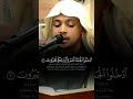 سورة الزخرف 68 71 الشيخ عمر الديرويز عمر الديرويز بدر التركي ناصر القطامي قرآن سورة الزخرف 68 71 الشيخ عمر الديرويز عمر الديرويز بدر التركي ناصر القطامي قرآن