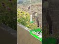 اسرع طريقة للصيد على الدبق