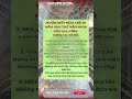 Sức Mạnh Tiềm Ẩn Của Nhân Mệnh Hòa Hợp: Hé Lộ Cách Thu Hút May Mắn Tình Duyên