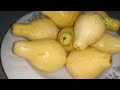 فوائدـالجوافه اكسبلور 
