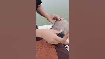 Mang máy cạo râu đi cạo đầu luôn #huymaycaorau