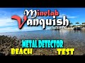 Minelab Vanquish 440 Metal Detector | Beach Detecting | "The Baby Equinox"