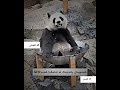 BANDA в ЩѕШ Щ ШЇШ BANDA в ЩѕШ Щ ШЇШ