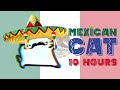 Mexican cat 10 hours