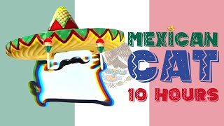 Mexican Cat 10 Hours