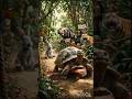 Rabbit and tortoise story for kids that teaches patience #panchatantrastories #shortstory