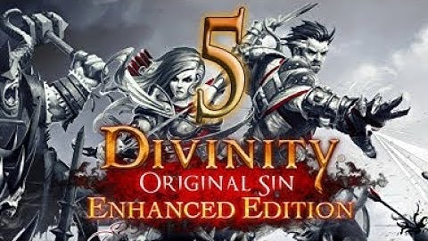 Divinity: Original Sin Enhanced Edition Co-Op - Part 5 - End of Time