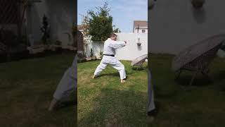 Karate Ash / Shotokan Karate - Tekki Shodan slow