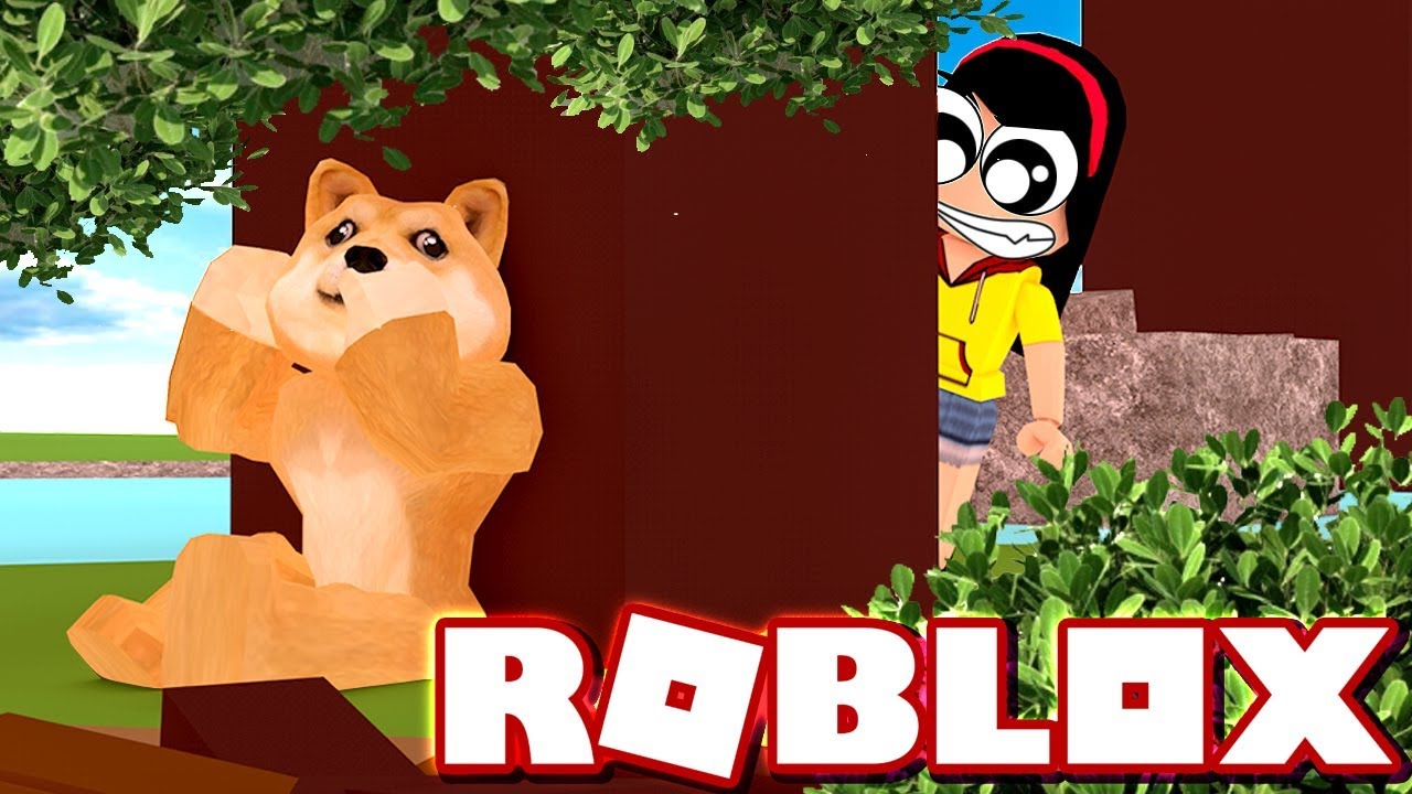 Normal Ones And Weird Ones Roblox Find The Doges Dollastic