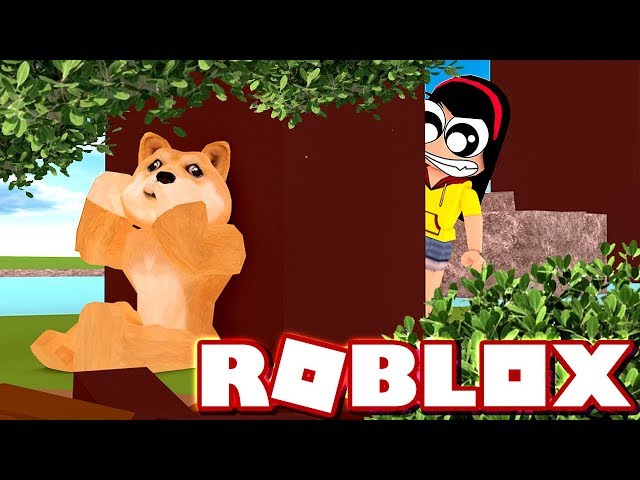 Normal Ones And Weird Ones Roblox Find The Doges Dollastic - roblox generations obby microguardian youtube