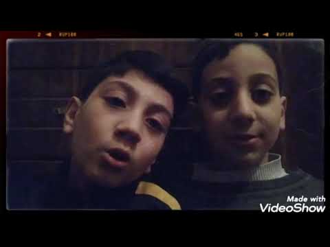 5 ყველაზე ძლიერი ძაღლი