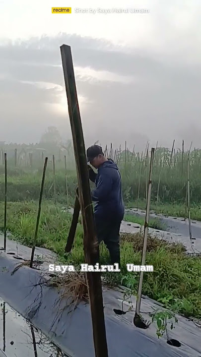 27.07.25 - Inilah 4 Waktu Yang Tepat Untuk Diam