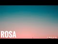 J. Balvin - Rosa (Letra/Lyrics)