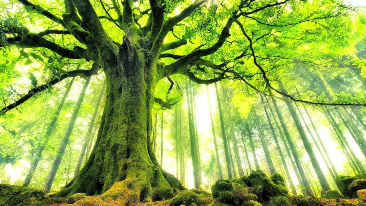 YouTube에서 Eric Rigo - Rain 보기 YouTube에서 Eric Rigo - Rain 보기