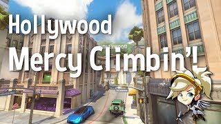 Climbing with Mercy on Hollywood