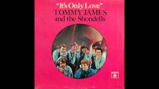 Watch Tommy James  The Shondells The Lover video