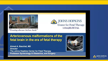 Vascular Abnormalities of the Fetal Brain: Fetal & Post-Natal Management and Treatment