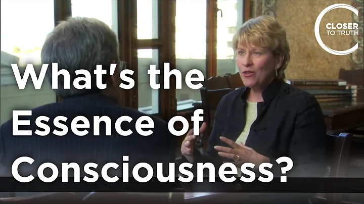 Marilyn Schlitz - What's the Essence of Consciousn...