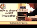 How to choose the best incubator for hatching chicks