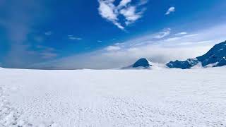 Damoy Point 5 - Quark Expeditions World Explorer - Antarctica Cruise Day 6