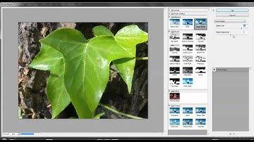 Adobe Photoshop CS6 - Tutorial 2: Filter Gallery
