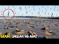 Grabe umulan na pala ng mga ahas    7 pinaka kakaibang pagulan sa mundo