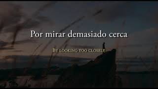 Looking too closely: sub español Fink