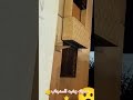 سماع صوت الخفاش لاول مره سماع صوت الخفاش لاول مره