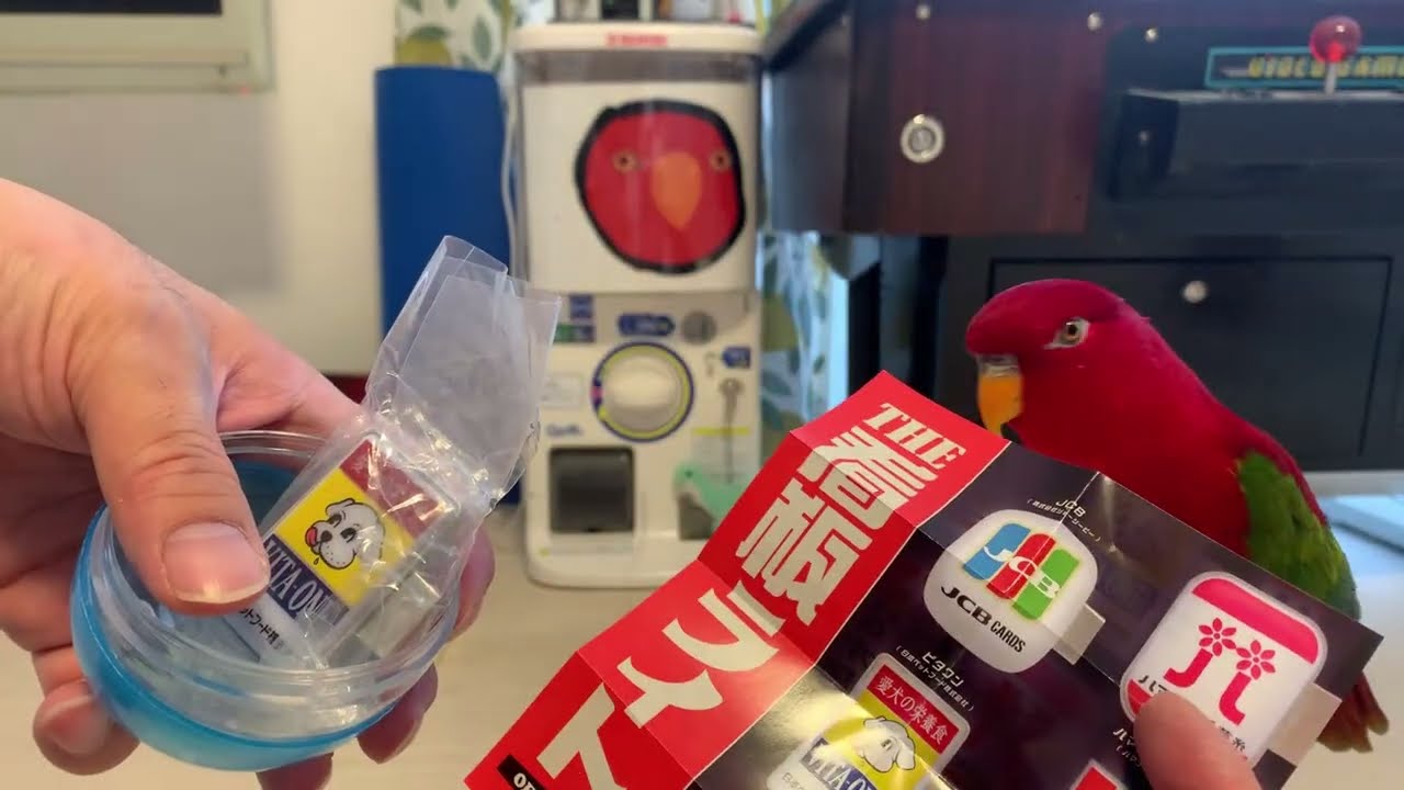 gumimimimiiiiiii livestream