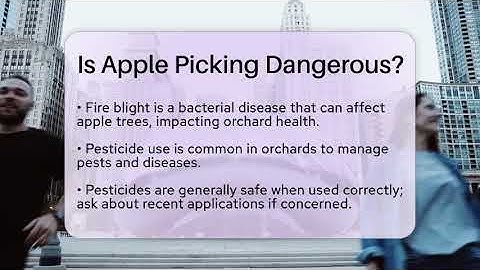 Is Apple Picking Dangerous? - The Midwest Guru