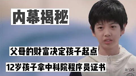 海淀區小學生空降職場，結果吊打實習生，12歲拿中科院程序員證書 - 天天要聞