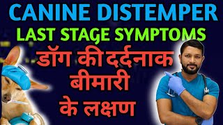 Canine Distemper Last Stage Neurological Symptoms | Treatment | Signs | Ke Lakshan ka Ilaj In Hindi