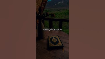 { قَالَ رَبِّ إِنِّي دَعَوْتُ قَوْمِي لَيْلًا وَنَهَارًا }[سُورَةُ نُوحٍ: ٥]#قران_كريم #تلاوات