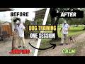 Puppy Socialization For Nervous Dogs | Training A Fearful Dog To Build Confidence & Trust