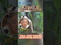 “黑妞!你在哪?” 北市動物園"食蟻獸逃家"2天! "年紀大.行動慢"恐還在園區 無攻擊性!園方籲:發現請通報 #shorts