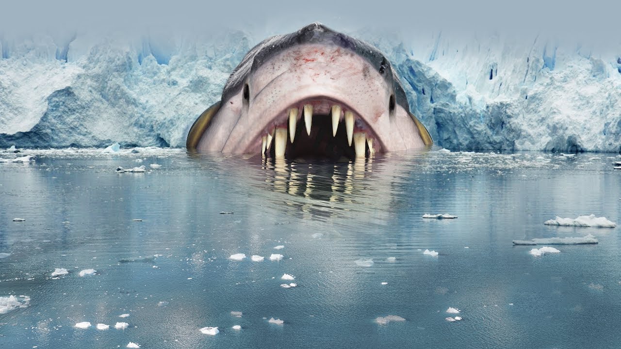 9 Most Terrifying Creatures Found In Alaska!