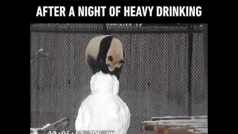 Panda vs snowman