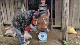 Húng Thị Bình _I will go find goods to sell and buy chickens to grow vegetables by Húng Thị Bình  6,633 views 1 month ago 25 minutes