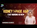 Kidney Anatomy &amp; Nephron Function — Nursing A&amp;P (Retroperitoneal Location, Blood Supply)