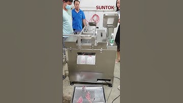 CNC fish slicing machine for fish processing plant