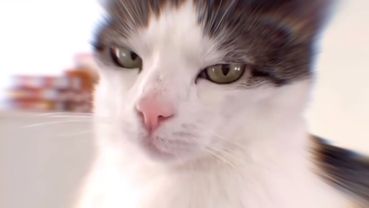 Ghost B.C. - Year zero | remix