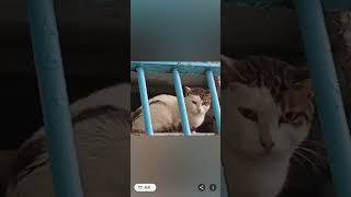 Screen Recording 20260923 155150 Photos~2