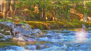 Beautiful View Of Flowing Water For Relaxing Sleep,Meditation,Work,Learning,Healing,Stress