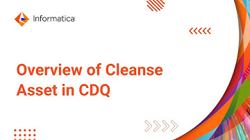 Overview of Cleanse Asset in CDQ