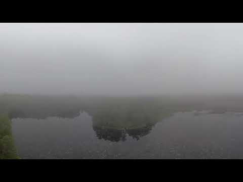 Foggy lake in 360 @kronjaa